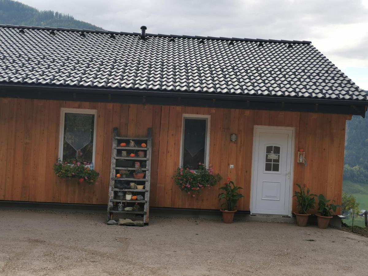 Bergblick Hollnhof Apartment Donnersbach ภายนอก รูปภาพ